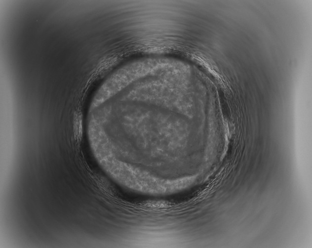 X0000095940685200802081237