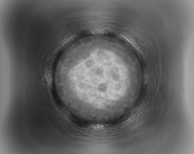 X0000095940687200802081237