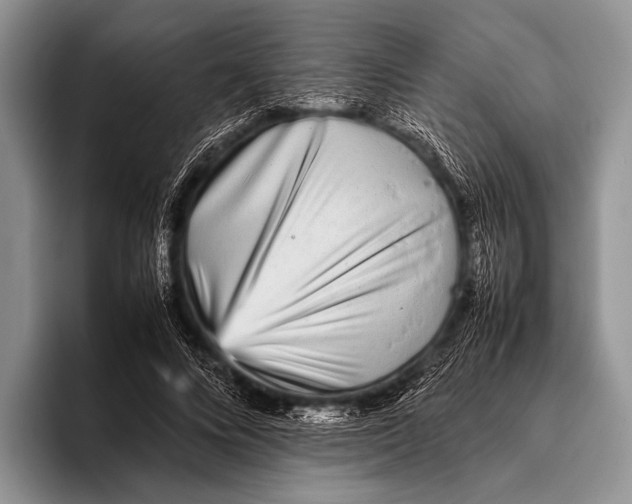 X0000095940688200802081237