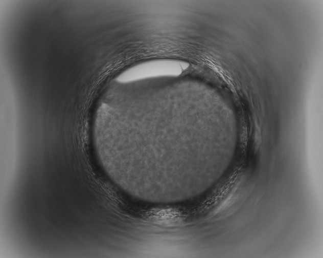 X0000095940689200802081237