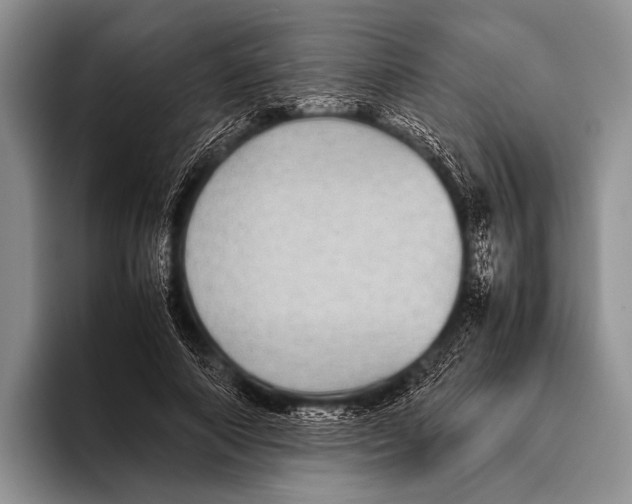 X0000095940690200802081237