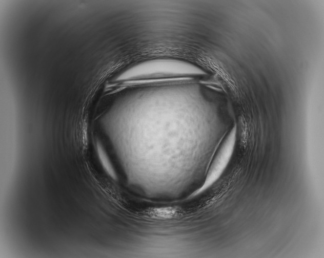 X0000095940692200802081237