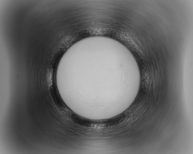 X0000095940694200802081237