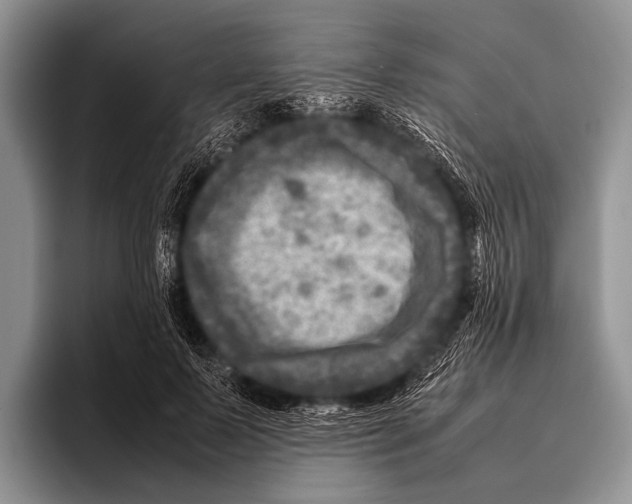 X0000095940695200802081237