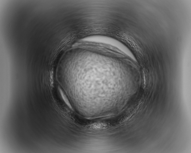 X0000095940696200802081237