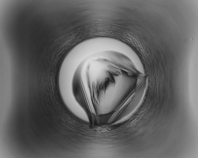 X0000095940697200802081237