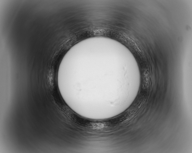 X0000095940698200802081237