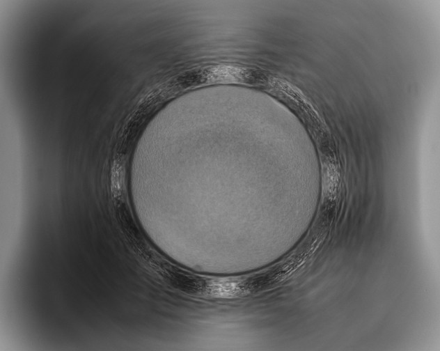 X0000095940701200802081237