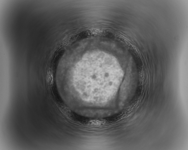 X0000095940703200802081237