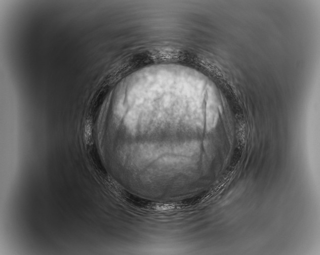 X0000095940709200802081237