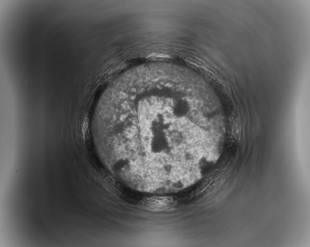 X0000095940711200802081237