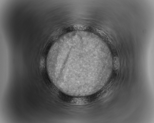 X0000095940713200802081237