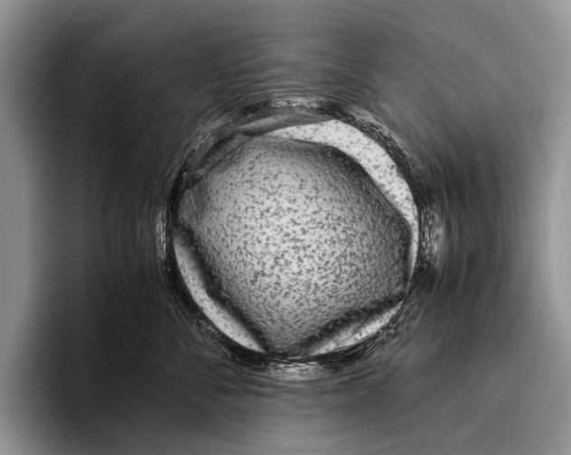 X0000095940716200802081237