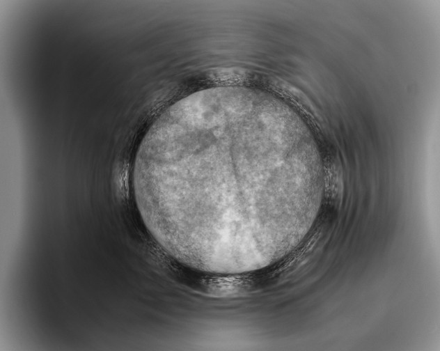 X0000095940717200802081237