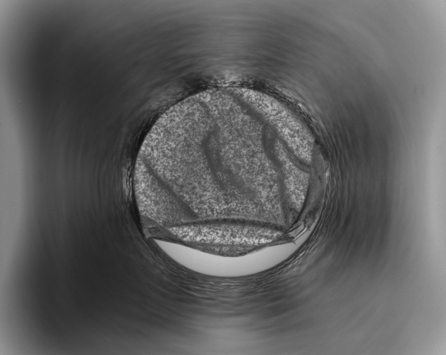 X0000095940719200802081237