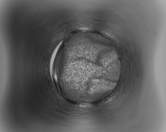 X0000095940720200802081237