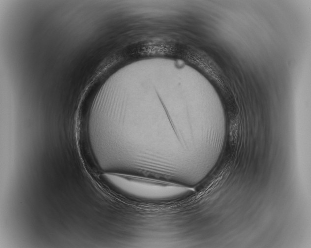 X0000095940722200802081236