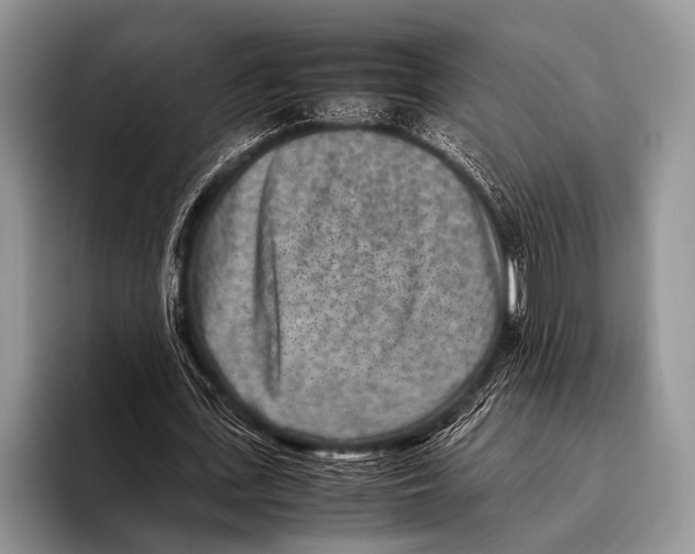 X0000095940723200802081236