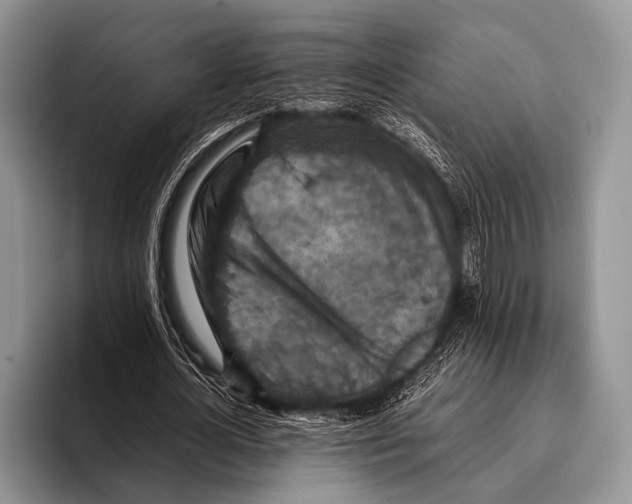 X0000095940724200802081236