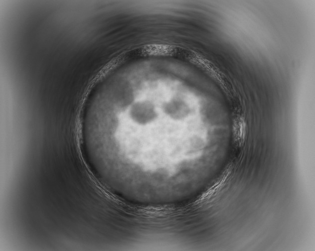 X0000095940725200802081236