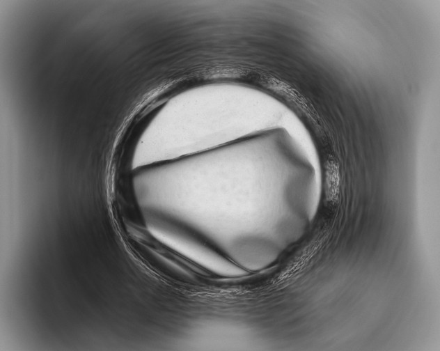 X0000095940726200802081236