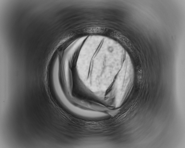 X0000095940727200802081236