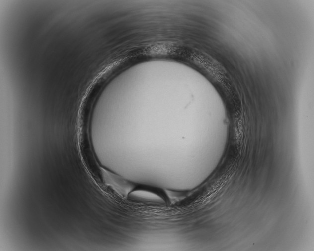 X0000095940728200802081236