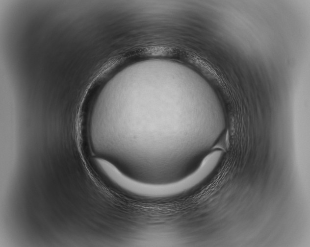 X0000095940730200802081237