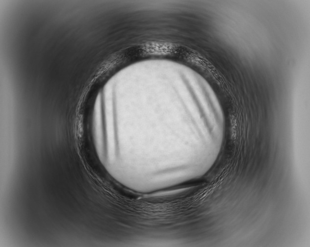 X0000095940731200802081237