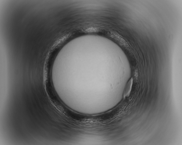 X0000095940732200802081237