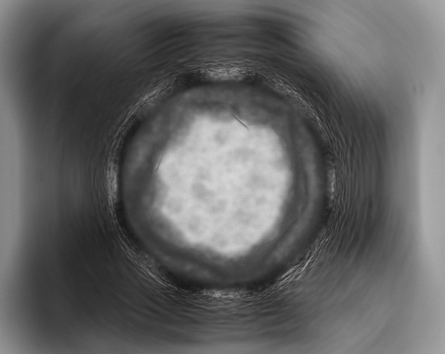 X0000095940733200802081237