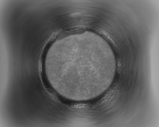 X0000095940734200802081237