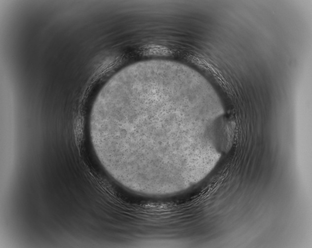 X0000095940735200802081237