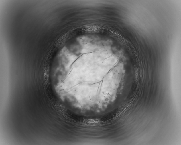 X0000095940737200802081237