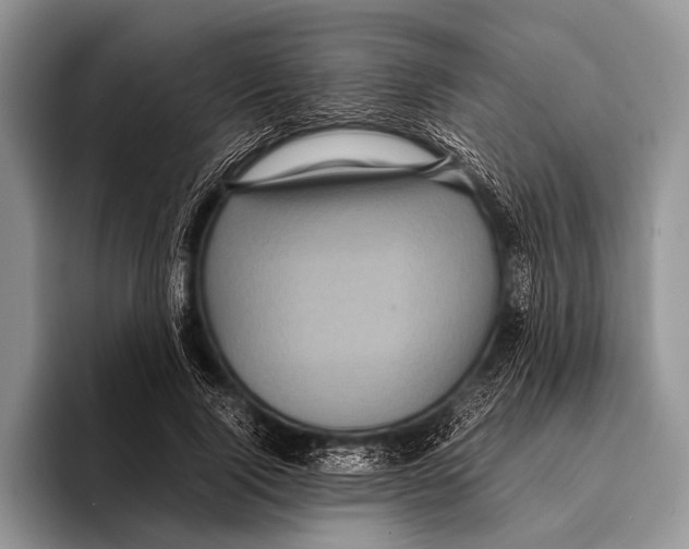 X0000095940740200802081237