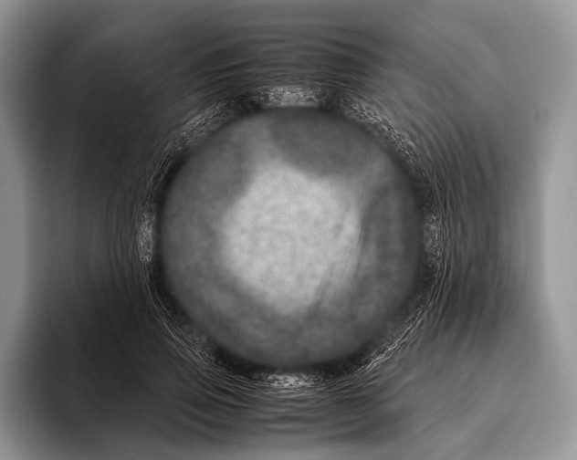 X0000095940741200802081237