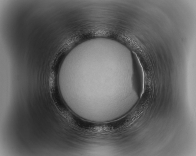 X0000095940744200802081237