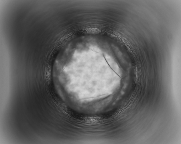 X0000095940745200802081237