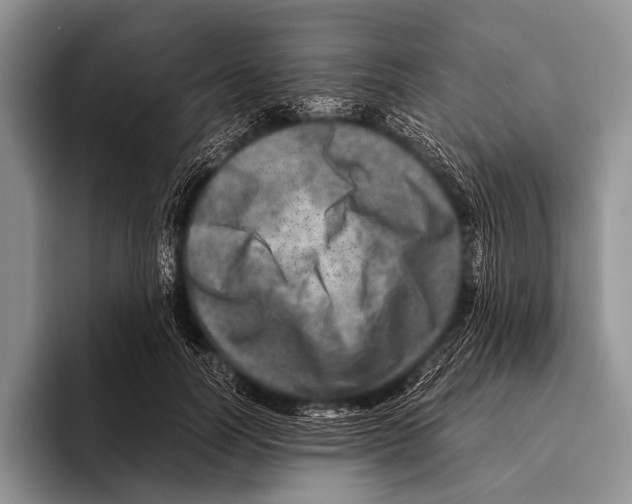 X0000095940746200802081237