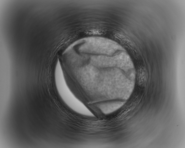 X0000095940747200802081237