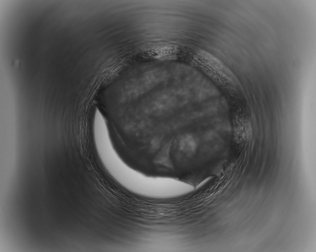 X0000095940748200802081237