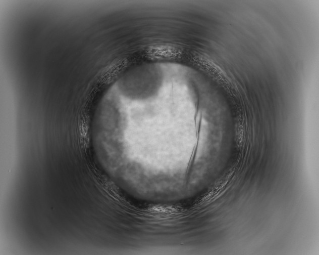 X0000095940749200802081237