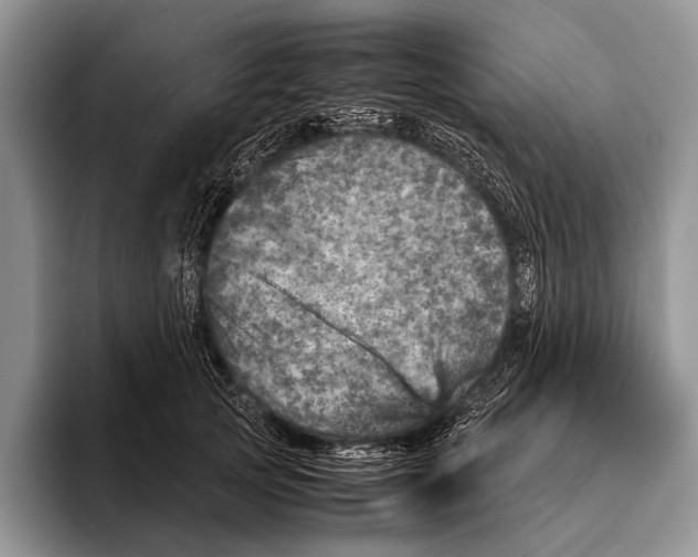 X0000095940753200802081237