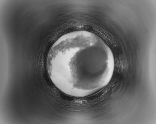 X0000095940754200802081237