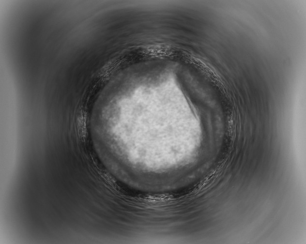 X0000095940757200802081237