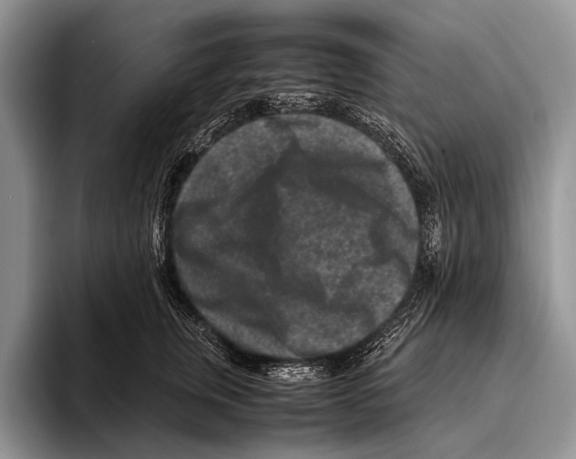 X0000095940759200802081237