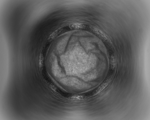 X0000095940760200802081237