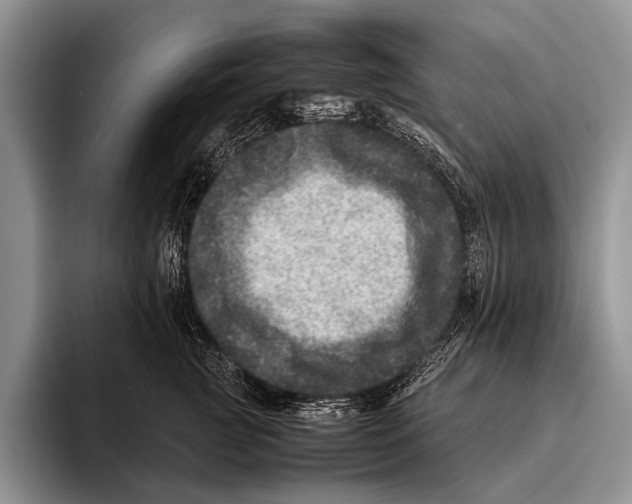 X0000095940761200802081237