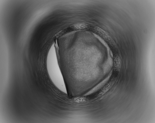 X0000095940762200802081237