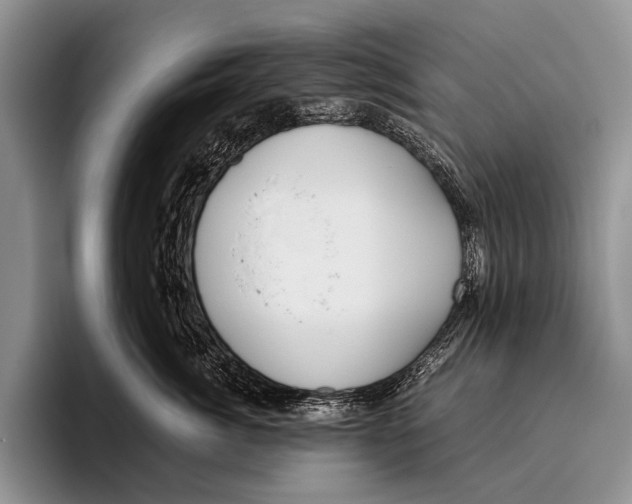 X0000095940764200802081237